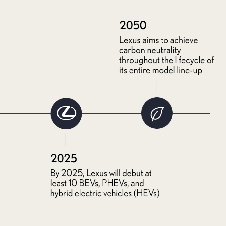 Timeline 4