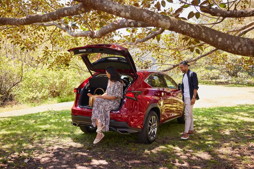Find your away in the Lexus NX