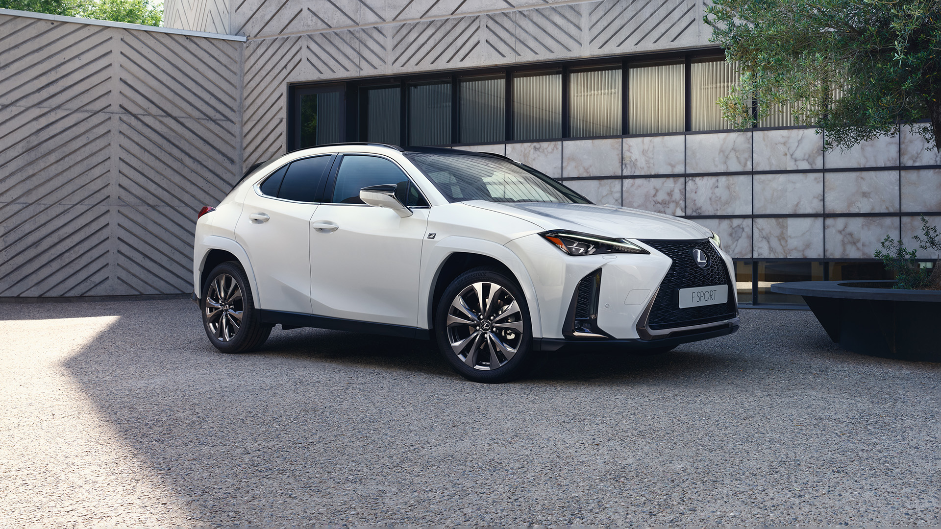 UX 250h FWD F Sport Design Special